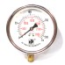 Pressure Gauge Bottom Connection 1/4 BSP (65MM / 21/2" Dial) SS Body Glycerine filled